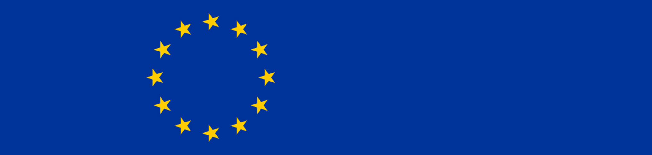 European Economic Integration Review